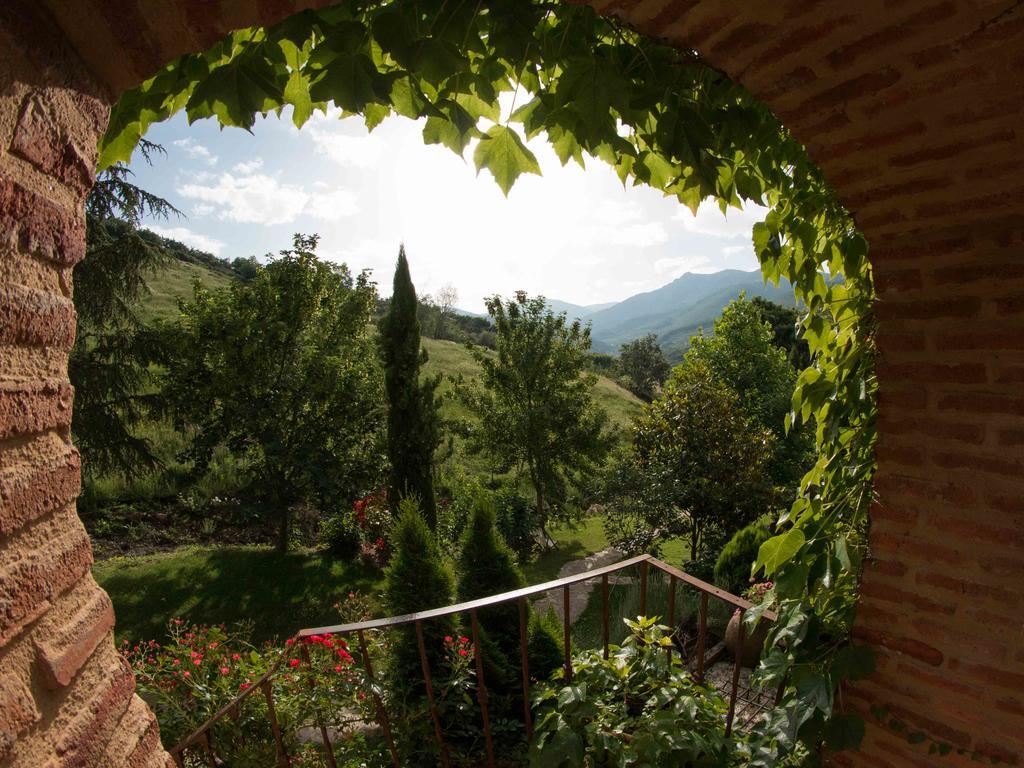 Gospodarstwo wiejskie Finca El Carpintero
